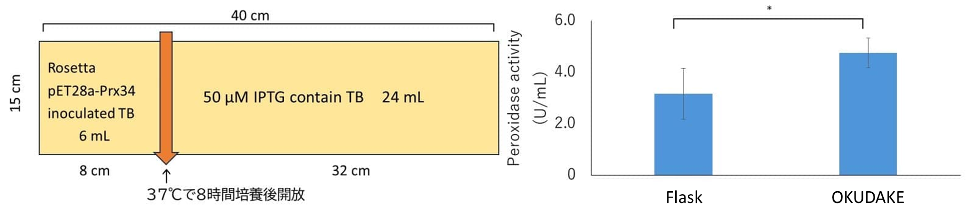 フィルムバッグ培養を用いた組み換えタンパク質生産の効率化の画像