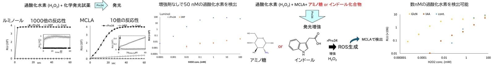 新規ペルオキシダーゼを使った高感度過酸化水素検出の画像