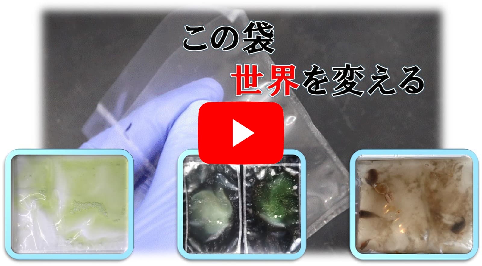 おくだけの使用した研究動画のサムネイル画像