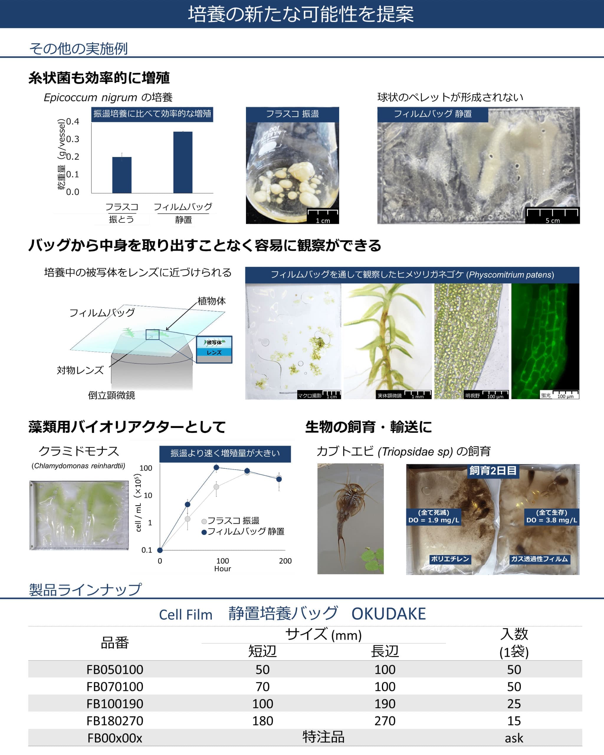 培養の新たな可能性を説明する画像